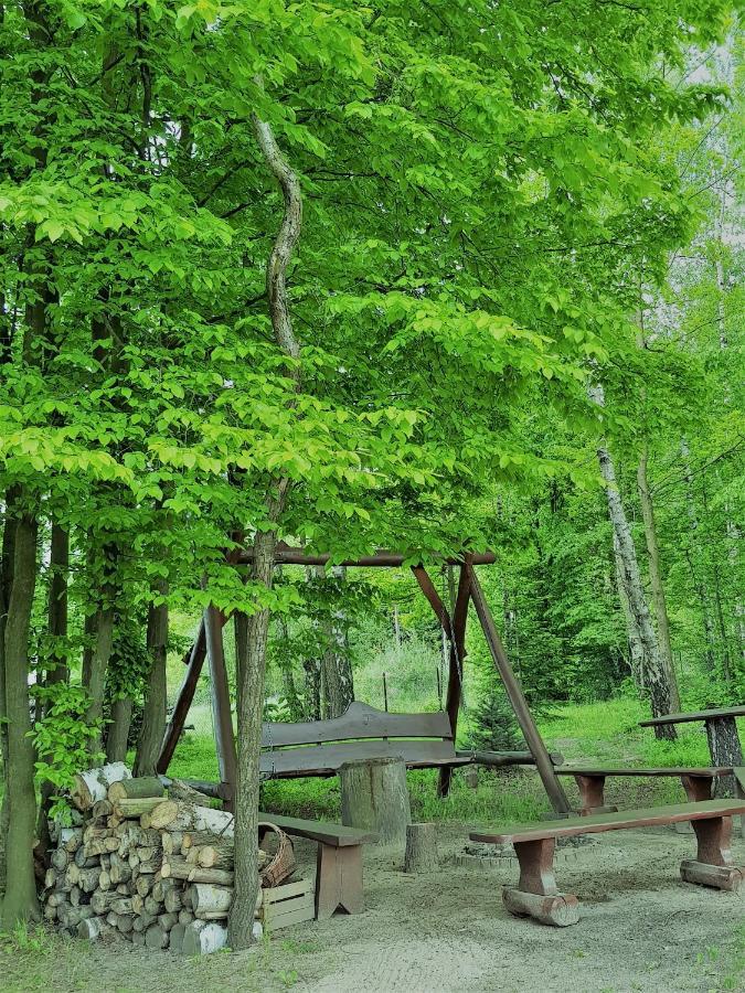 Agroturystyka "Pod Lysica" Swieta Katarzyna  Dış mekan fotoğraf